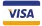Visa payment icon